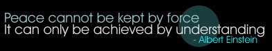 Peace cannot be kept by force. It can only be achieved by understanding. - Albert Einstein